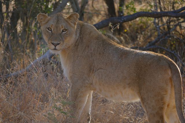 South Africa photography
